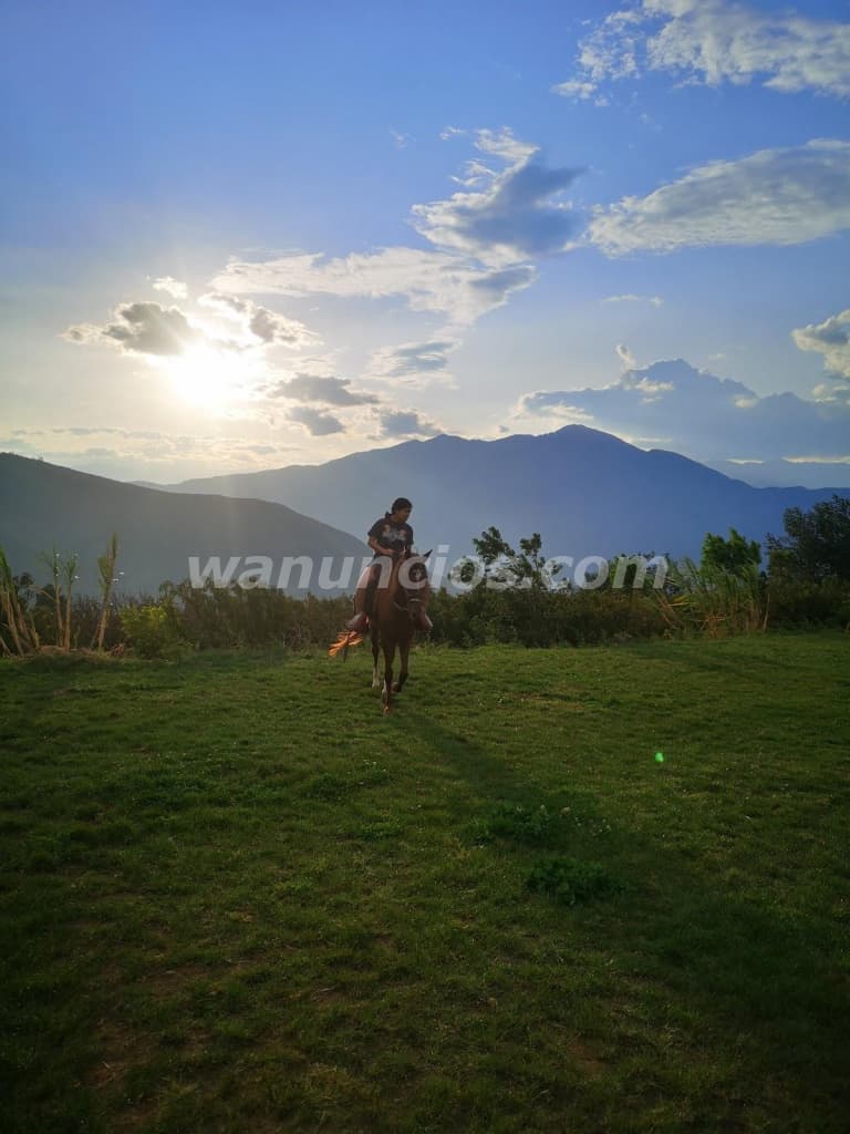 70.000 US$ - OCASION VENDO TERRENO EN HUANUCO - REMATO TERRENO EN HUANUCO (FUNDO AZAÑEDO- AMARILIS) 3