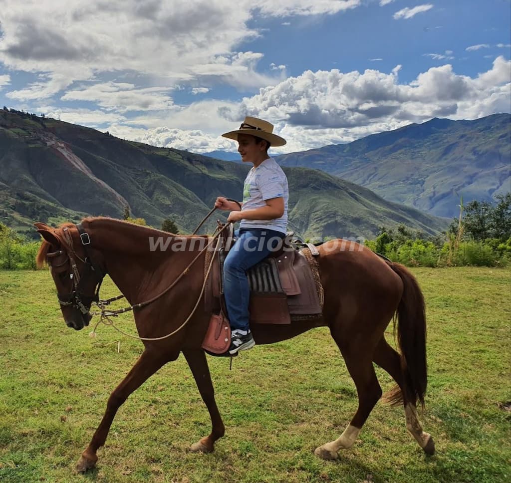 70.000 US$ - OCASION VENDO TERRENO EN HUANUCO - REMATO TERRENO EN HUANUCO (FUNDO AZAÑEDO- AMARILIS) 4