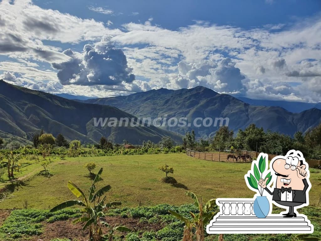 70.000 US$ - OCASION VENDO TERRENO EN HUANUCO - REMATO TERRENO EN HUANUCO (FUNDO AZAÑEDO- AMARILIS) 5