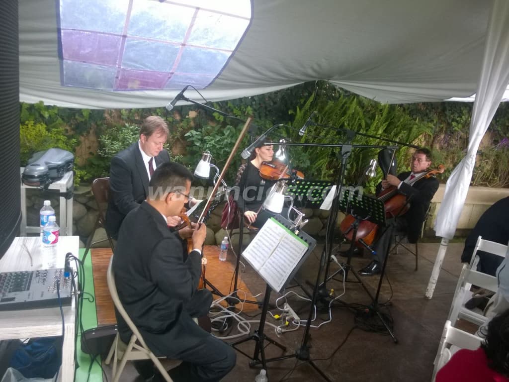 Cuarteto De Cuerdas conciertos y eventos en la ciudad de México (ciudad de mexico) 3