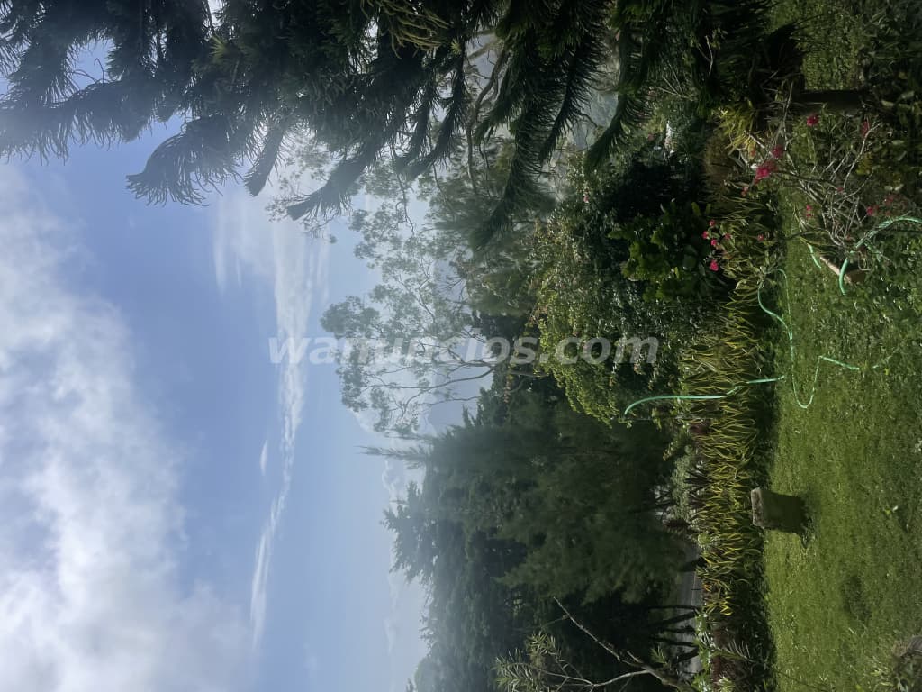 Se busca hombre para trabajar en una finca (Capira)