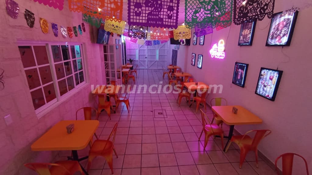La Niña Fresa ideal para cada ocasión especial! (Tlalnepantla de Baz) 5
