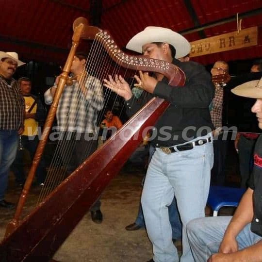Conjunto llanero en caracas con Amplio repertorio (Caracas venezuela) 3