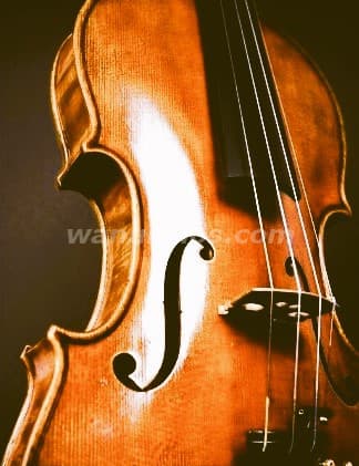 Música en vivo con Violín y Violonchelo para Bodas