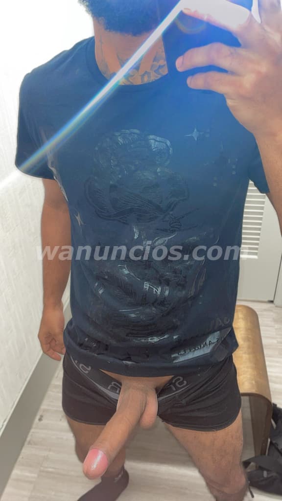 Soy de Bayamon 24 años Tirenme al whatsapp vacilamos chicas $$ 787-949-5117 (Área Metro gente seria)