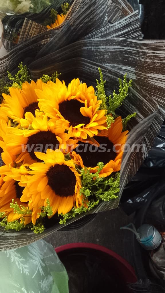 Floristería Ana Virginia trabajamos con todo tipo de flores (Santo Domingo este alma rosa) 2