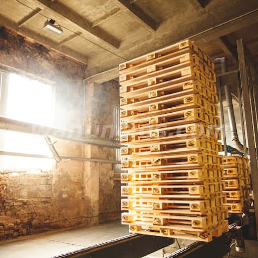 TARIMAS PALLETS DE MADERA, CAJONES DE MADERA EN CIUDAD JUAREZ (Ciudad Juarez) 2