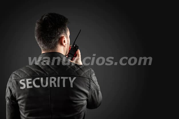 INVESTIGADOR CON VIGILANCIA FISICA SINALOA MX
