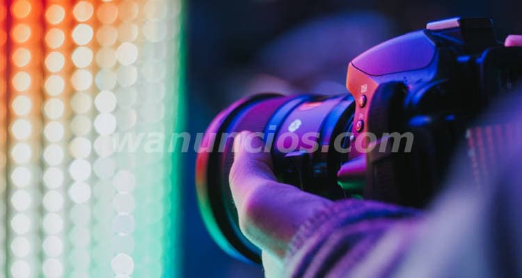 COAHUILA Y SONORA INVESTIGADOR ECONÓMICO PRECIO