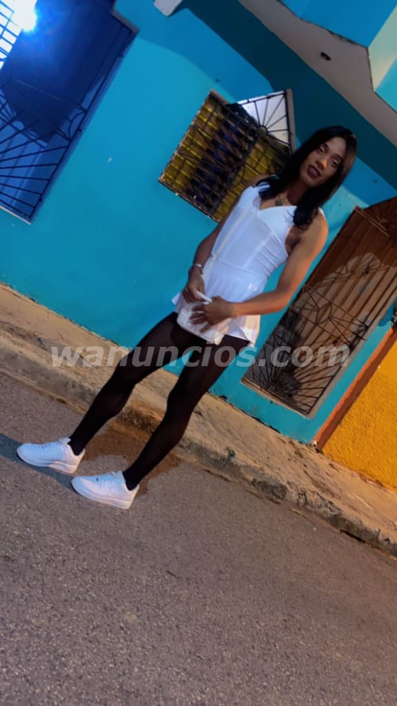 Chico trans disponible con lugar disponible (Higuey) 2