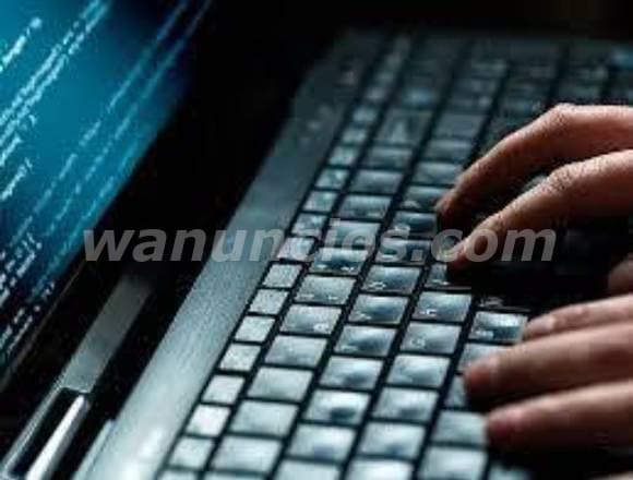 INVESTIGADOR PROFESIONAL COSTO TAPACHULA CHIAPAS