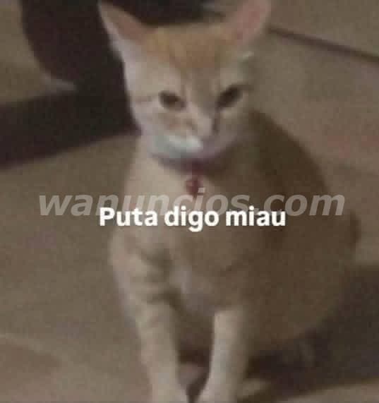 Ofrezco servicio a mujeres mayores que quieran pasar un rato increible (Managua)