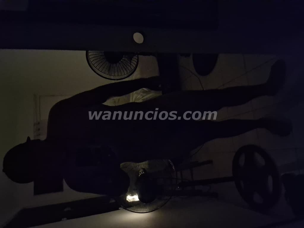 Se buscan mayores , trans y de 22 para arriba (Carolina PR) 2