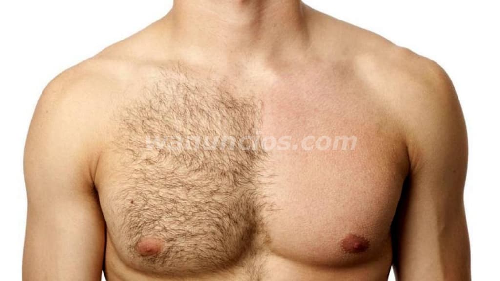 Depilación corporal para hombres cera o maquina (Sabana sur) 2