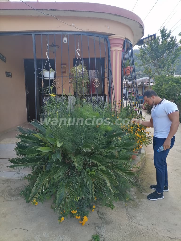 Masajista descendiente de familia masajista (Zona Colonial) 3