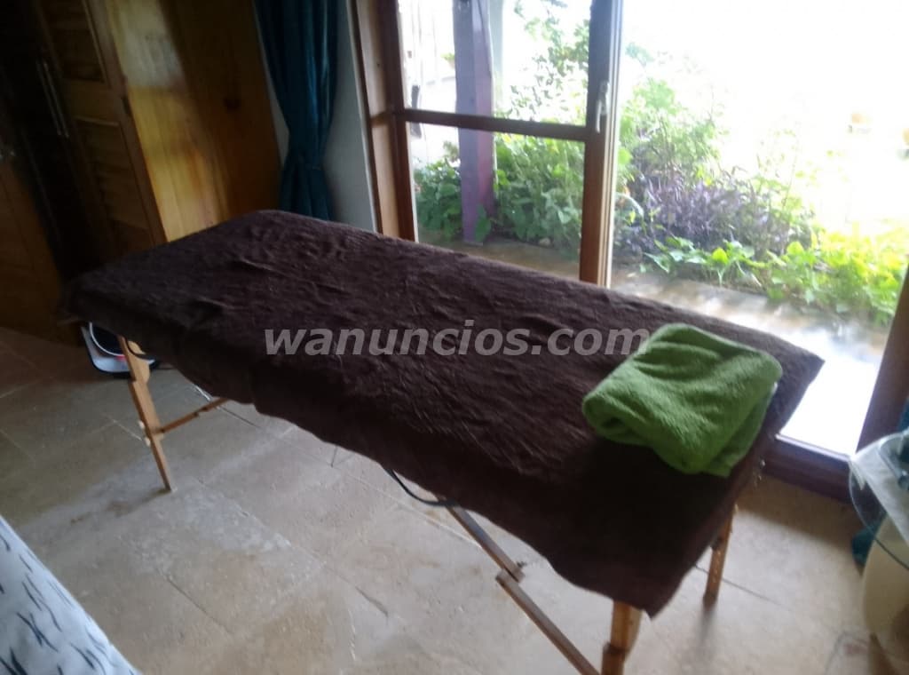 Masoterapia a hoteles exclusivos y a domicilio en zona céntrica (Centro) 3