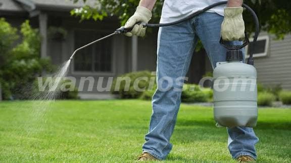 Hola hago trabajos en fumigacion, puedo trasladarme (Alajuela barrio san José)