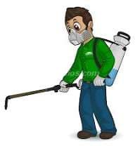 Hola hago trabajos en fumigacion, puedo trasladarme (Alajuela barrio san José) 2