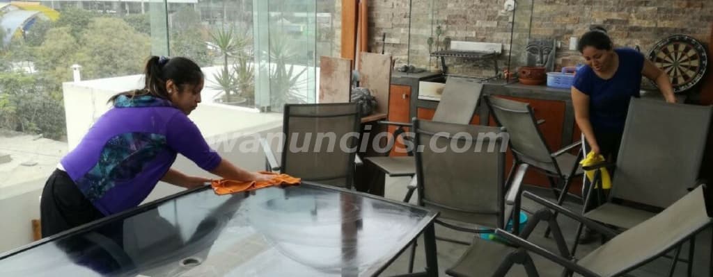 LIMPIEZA DE CASAS OFICINAS NEGOCIODS BUENOS PRECIOS (lima) 3