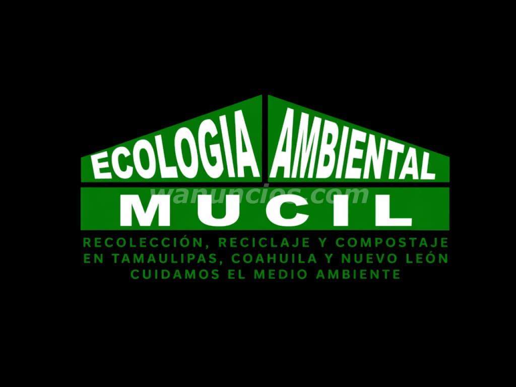 SI QUIERES VER LIMPIO A TU ALREDEDOR RENTA UN CONTENEDOR (HIDALGO, MONCLOVA, FRONTERA)