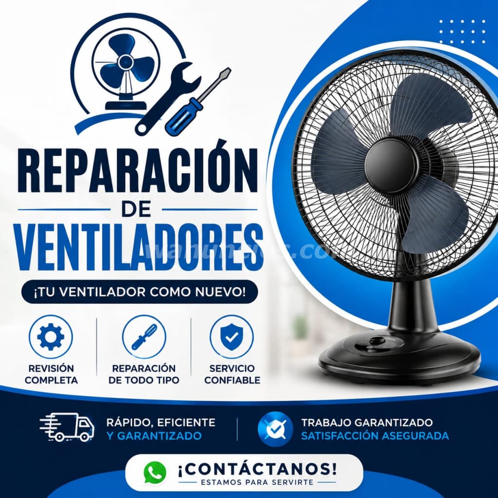 Mantenimiento y Limpieza de Ventiladores a Domicilio (Las Mercedes)