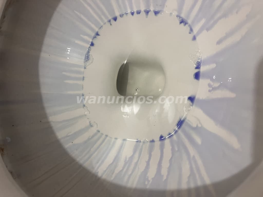 Servicios de limpieza, cuidado y vigilancia de propiedades. CONTÁCTAME! (Dorado, Sabanera, Puerto Ri 5