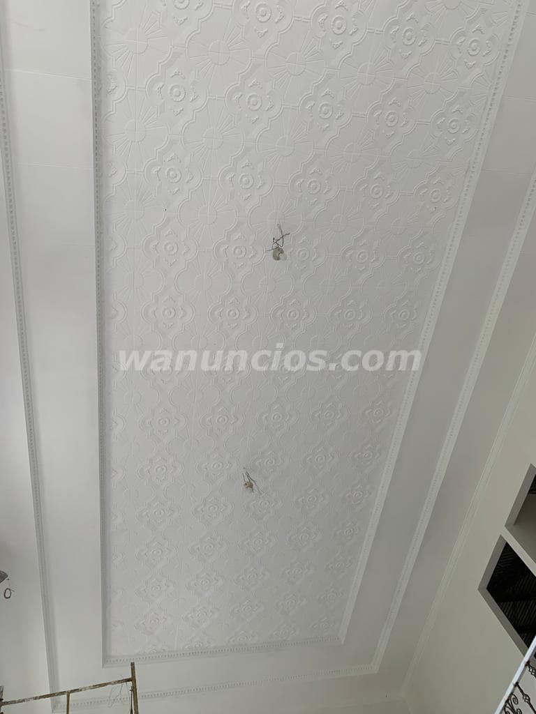 Cielorrasos de Escayola Instalación y reparaciones. (San Pablo de Heredia) 3