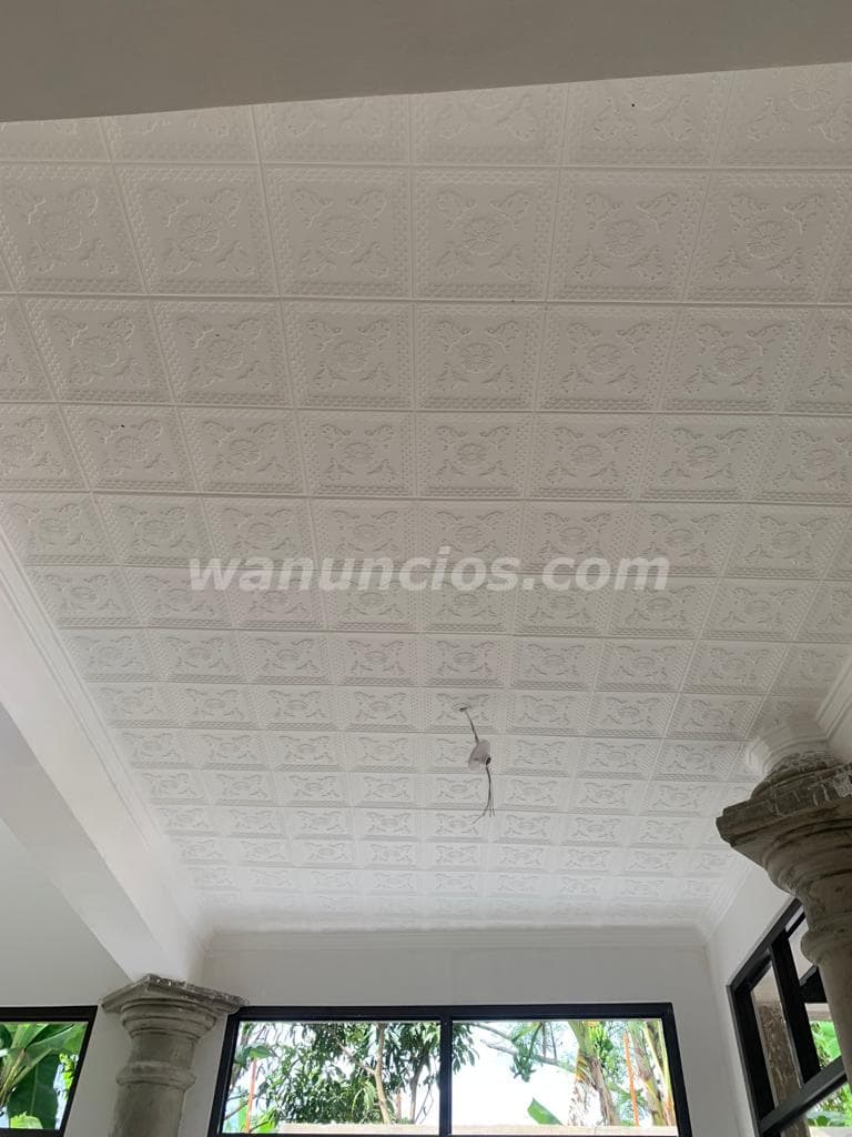 Cielorrasos de Escayola Instalación y reparaciones. (San Pablo de Heredia) 4