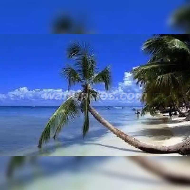 Vacaciones en las playas del caribe, Republica Dominicana!! (Todo el pais)