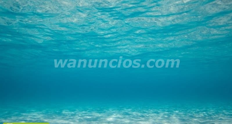 Vacaciones en las playas del caribe, Republica Dominicana!! (Todo el pais) 2