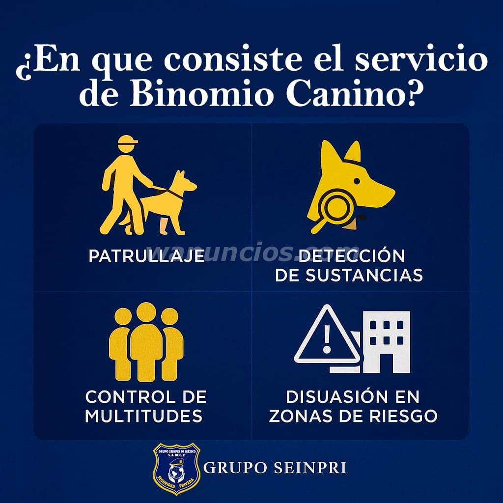 GRUPO SEINPRI "SEGURIDAD PRIVADA" EN MÉXICO (Ciudad de México)