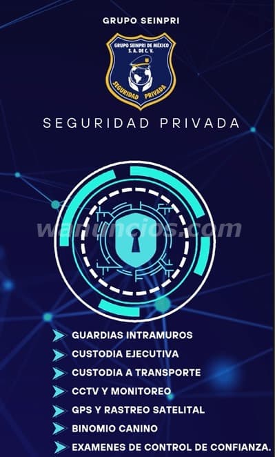GRUPO SEINPRI "SEGURIDAD PRIVADA" EN MÉXICO (Ciudad de México) 2