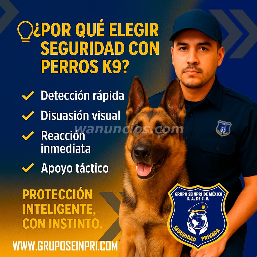 "GRUPO SEINPRI" TÚ SEGURIDAD NO ES UN JUEGO (CDMX, INT. REPUBLICA, EDO MÉX)