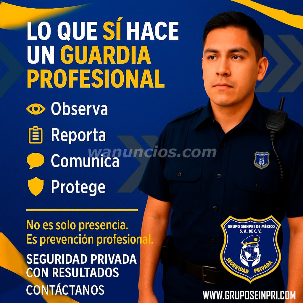 "GRUPO SEINPRI" TÚ SEGURIDAD NO ES UN JUEGO (CDMX, INT. REPUBLICA, EDO MÉX) 2