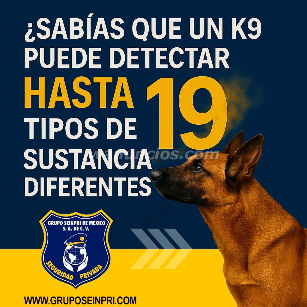 Grupo Seinpri México. Seguridad Privada "K9" (CDMX, EDO. MEXICO, INT. REP.)