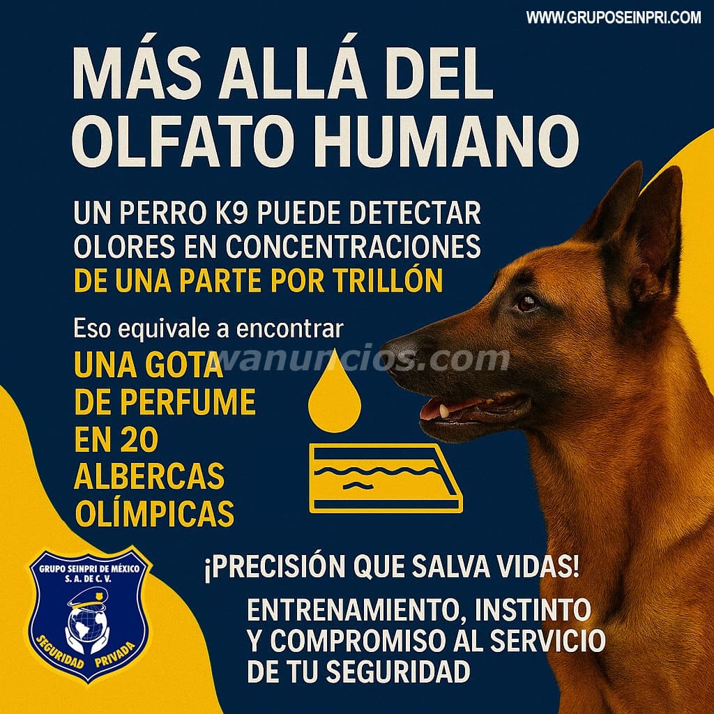 Grupo Seinpri México. Seguridad Privada "K9" (CDMX, EDO. MEXICO, INT. REP.) 2