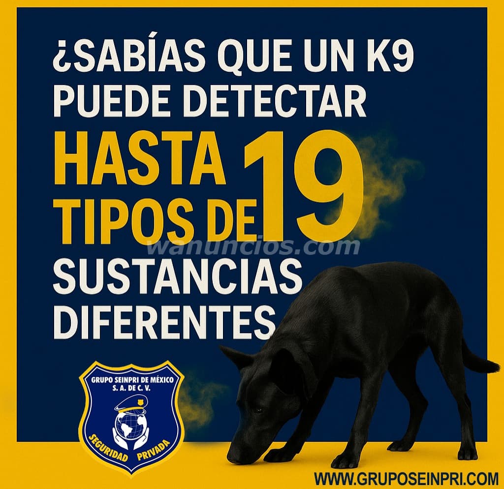 Grupo Seinpri. La mejor opción "SERVICIO K9" (CDMX, EDO. INT DE LA REPÚBLICA)