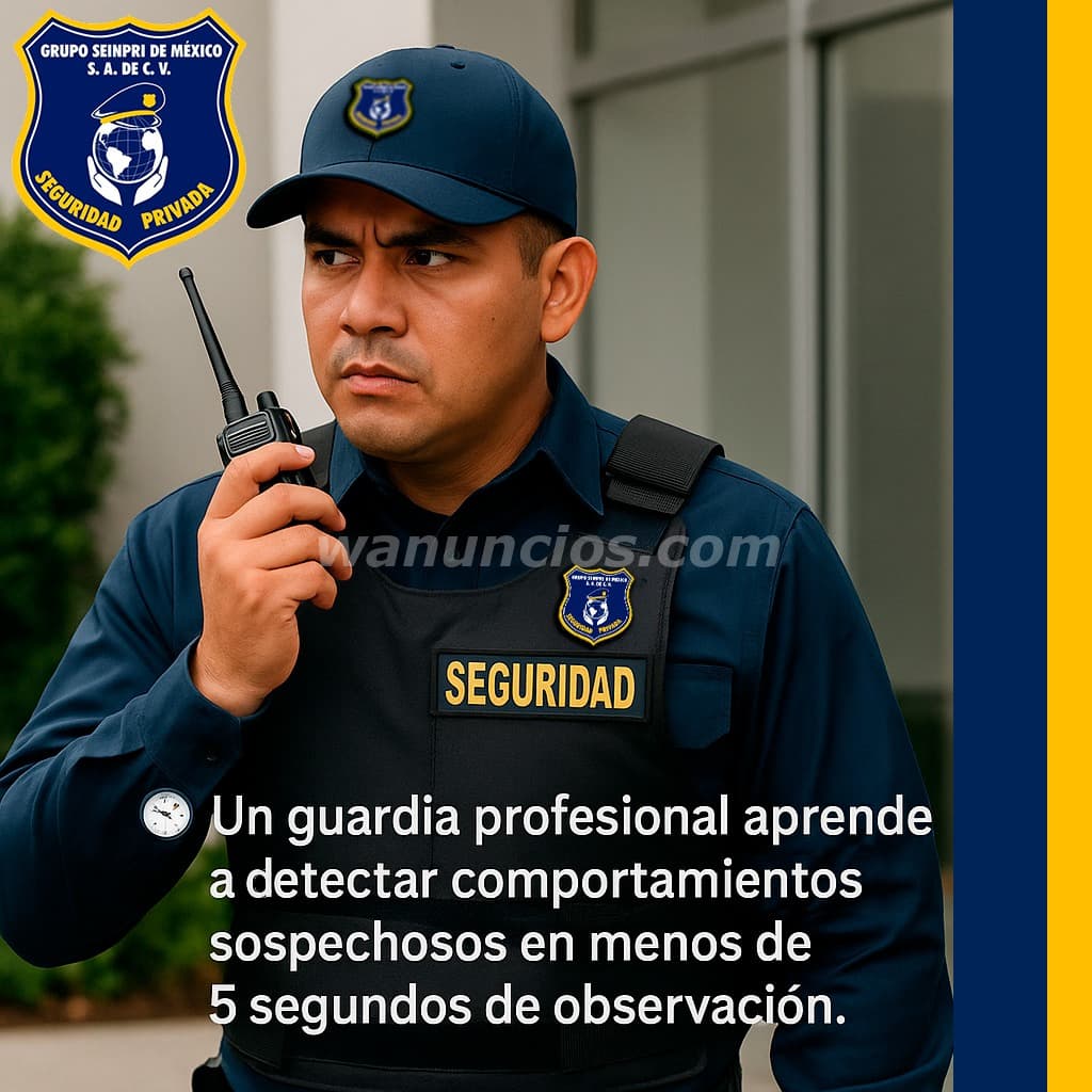 GruponSeinpri "Ventajas de Seguridad Privada" (CDMX,EDO, INT.DE LA REPÚBLICA) 2