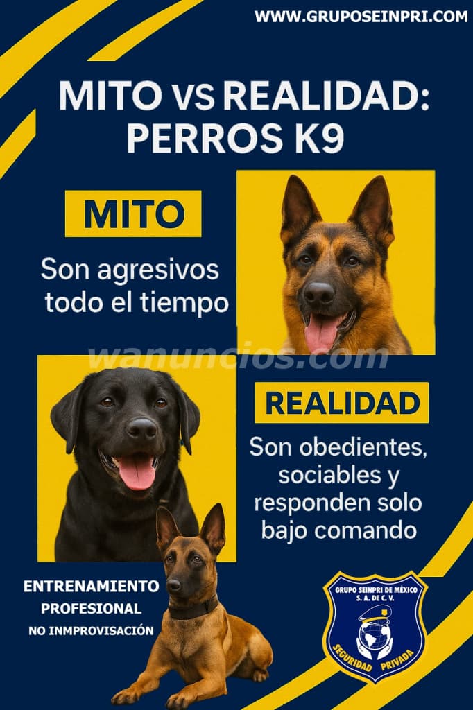 GRUPO SEINPRI DE MEXICO, SEGURIDAD PRIVADA (Veracruz) 3