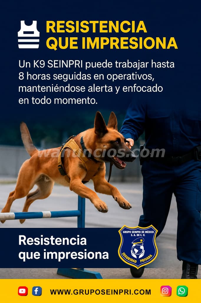 Proteja su negocio con "Grupo Seinpri S.A de C.V." (CDMX, EDO. MEX. INT REPÚBLICA) 2