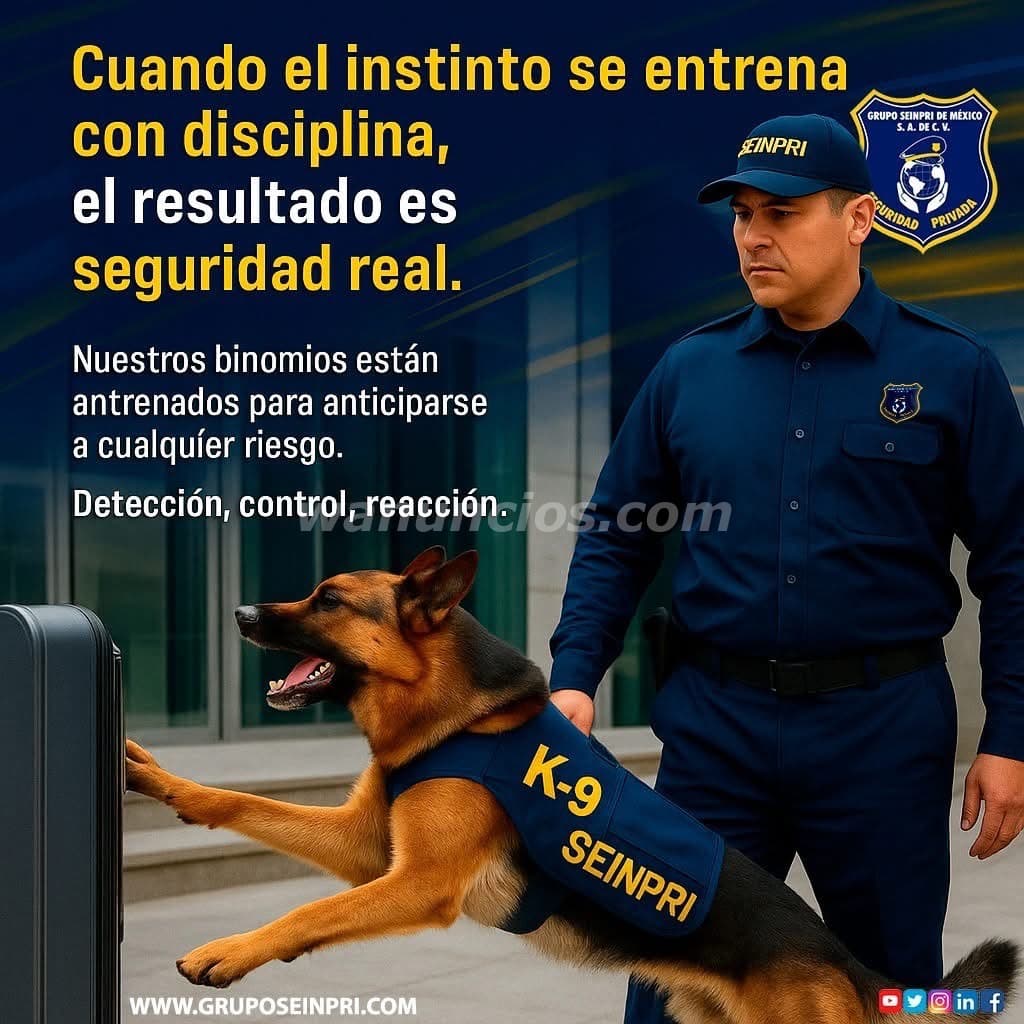 Seguridad Privada con expertos. Nuestros Binomios K-9 (CDMX, EDO MÉXICO, INT REP)