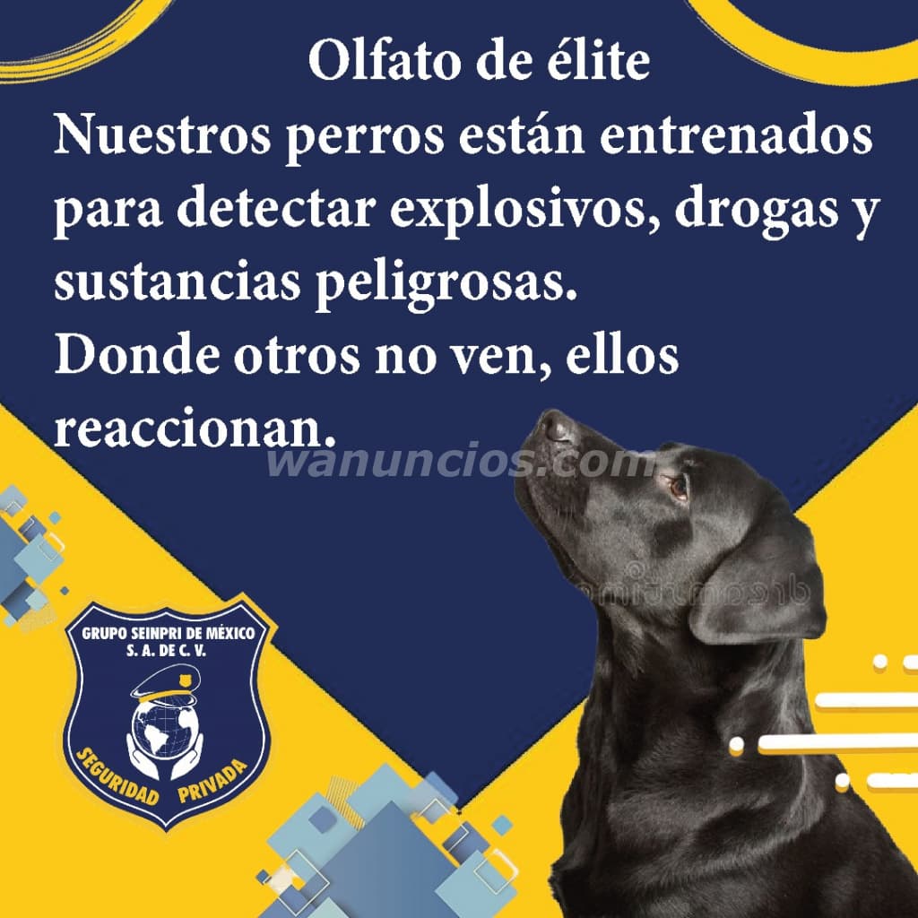 La seguridad con los mejores elemento "Confianza sobre 4 patas" (CDMX, EDO MÉXICO, INT REP)