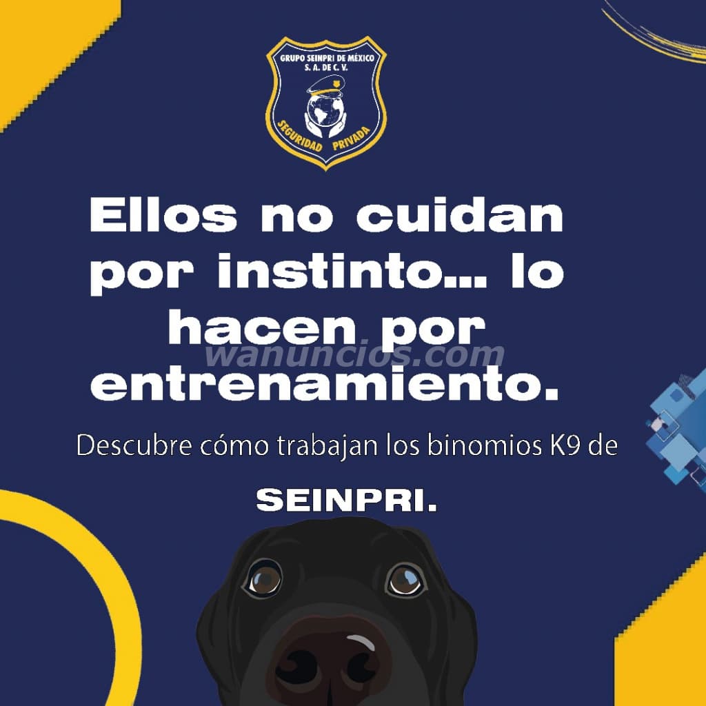 La seguridad con los mejores elemento "Confianza sobre 4 patas" (CDMX, EDO MÉXICO, INT REP) 2
