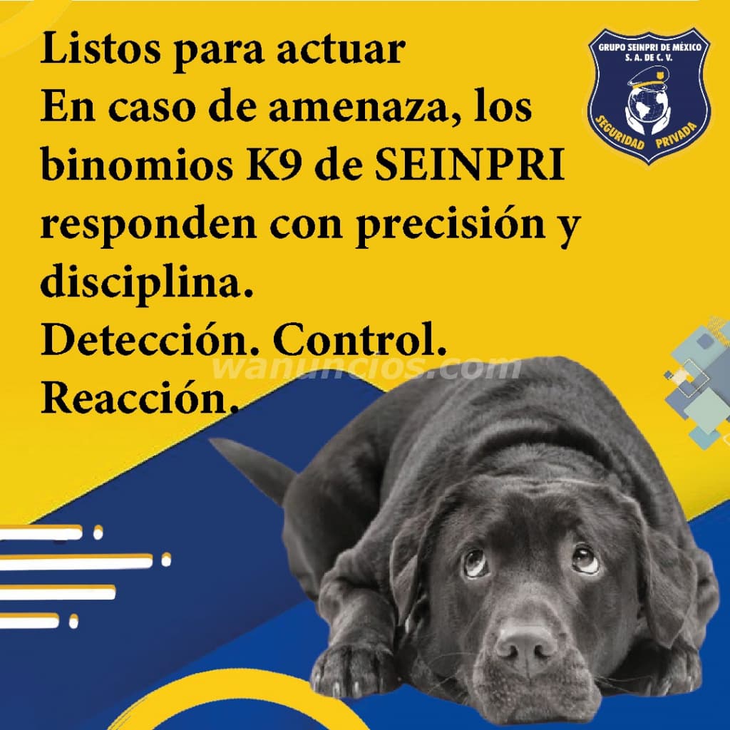 La seguridad con los mejores elemento "Confianza sobre 4 patas" (CDMX, EDO MÉXICO, INT REP) 3