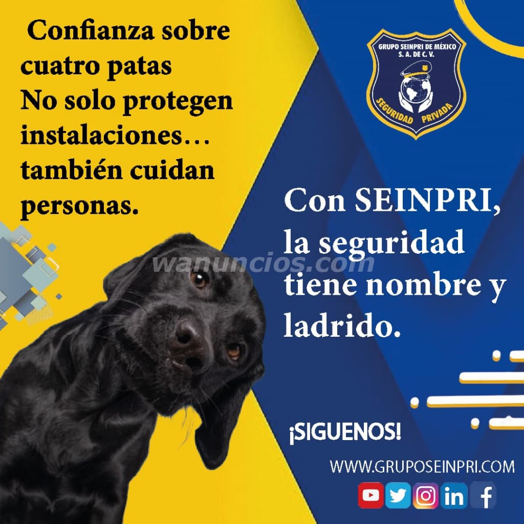 La seguridad con los mejores elemento "Confianza sobre 4 patas" (CDMX, EDO MÉXICO, INT REP) 4