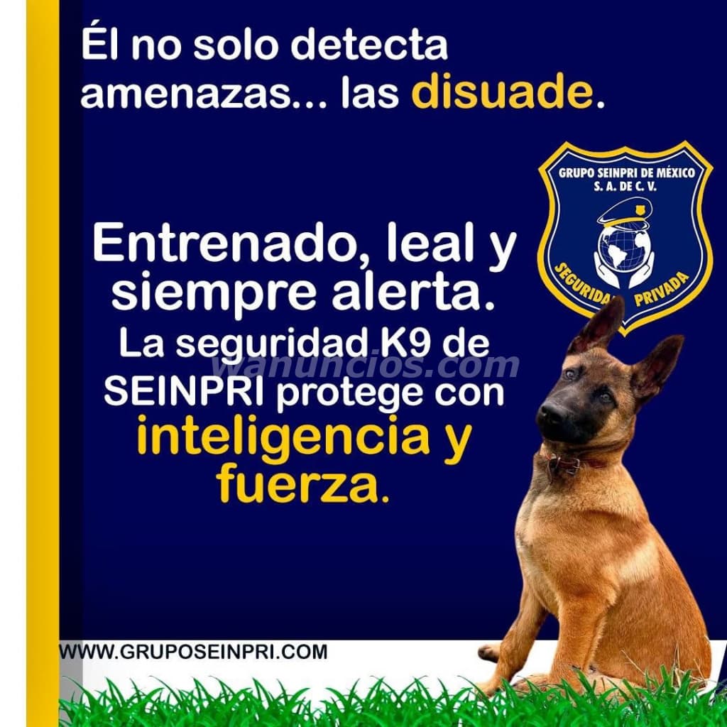En SEINPRI, la seguridad no es solo un compromiso es nuestra misión! (CDMX, EDO MÉXICO, INT REP) 2