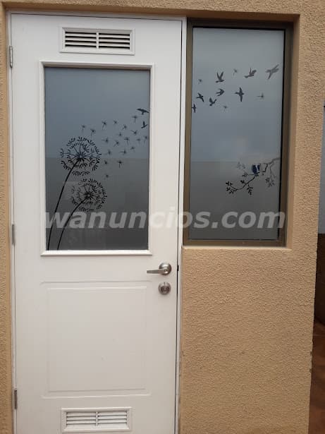 Vinilo Pavonado Decorativo Instalado Ate - Lima (Ate) 3