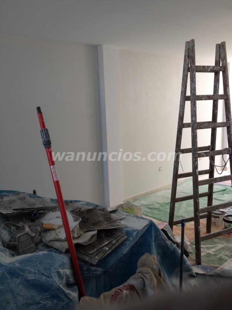 servicios generales de pinturas de casas departaamentos negocio (Lima) 2