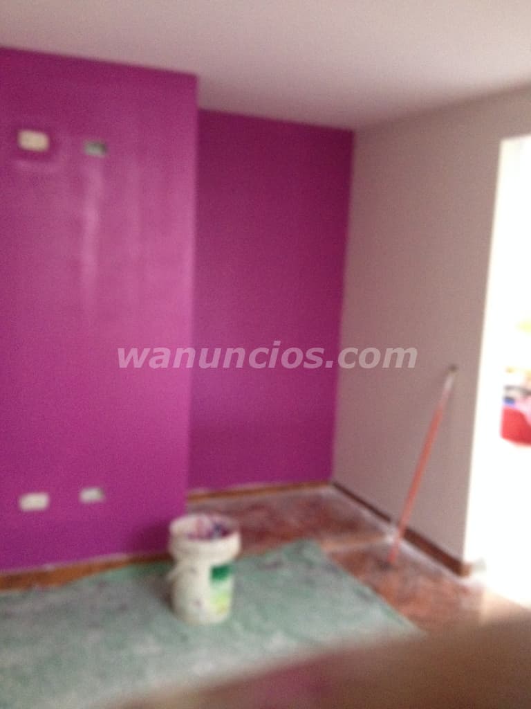 servicios generales de pinturas de casas departaamentos negocio (Lima) 3