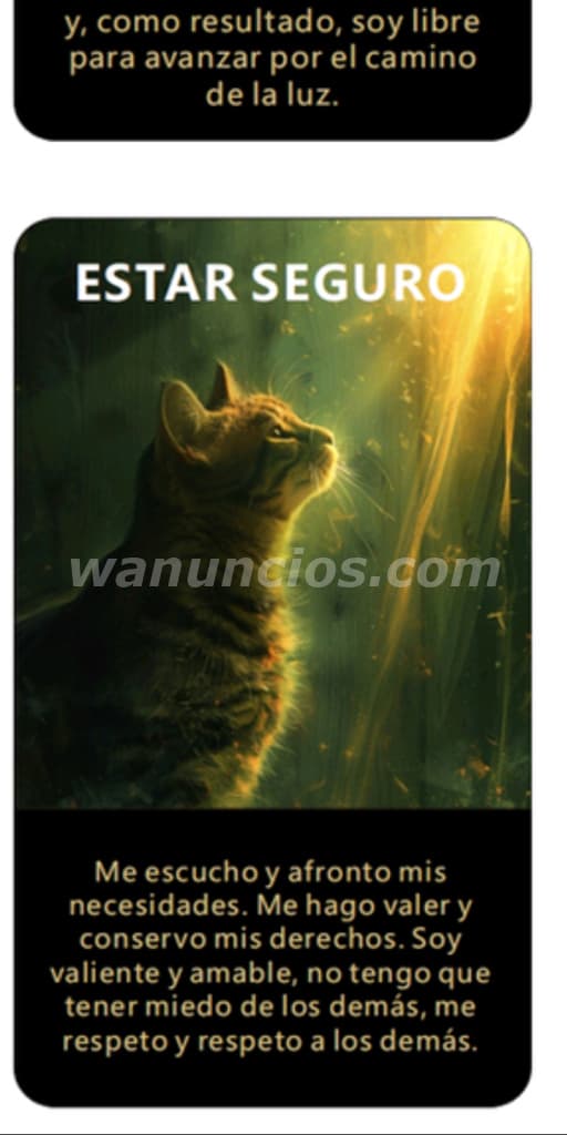Cuidado de mascotas a domicilios en Asturias (Oviedo Jijon Mieres)